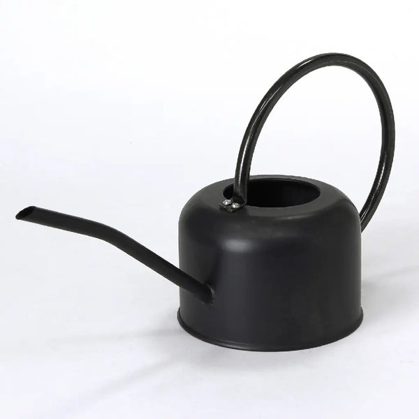 Tin Watering Can