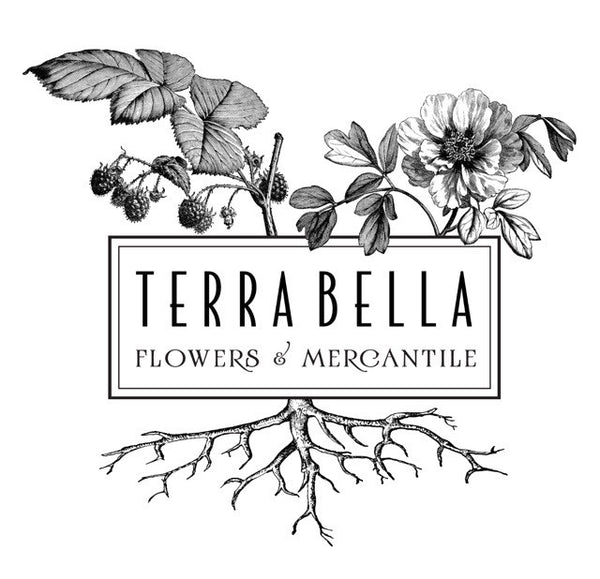 Botanical Art Kits – Terra Bella Flowers
